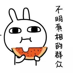 娱乐吃瓜酱独自打车,揭秘网约车背后的故事